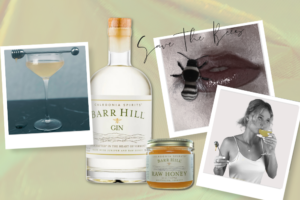 Read more about the article Bees Knees Cocktail